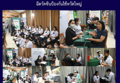 ฉีดวัคซีนป้องกันไข้หวัดใหญ่